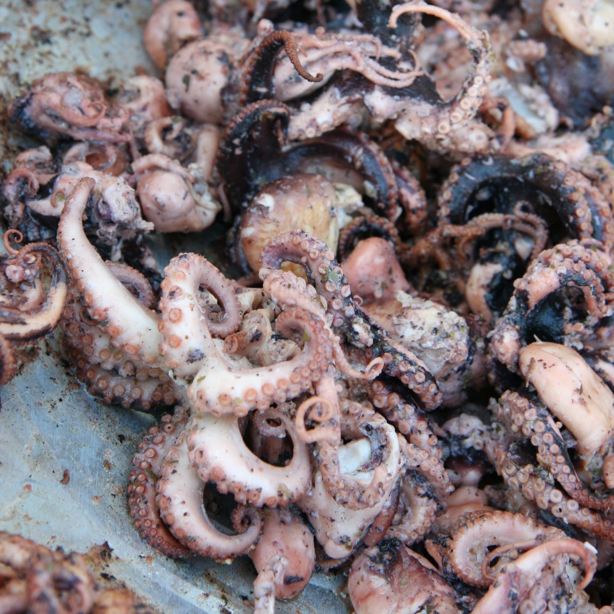 Grilled octopus pieces with charred edges heaped on a tray
