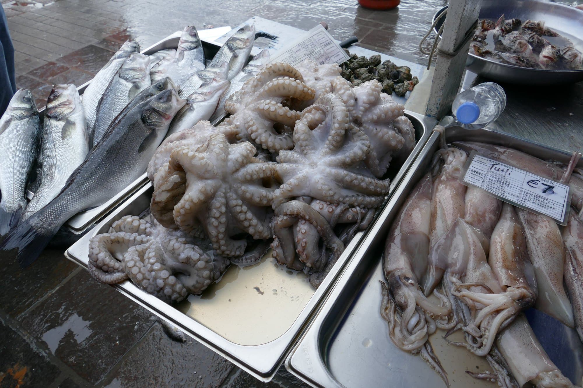 Whole octopuses laid in steel trays on ice at a Maltese fish market