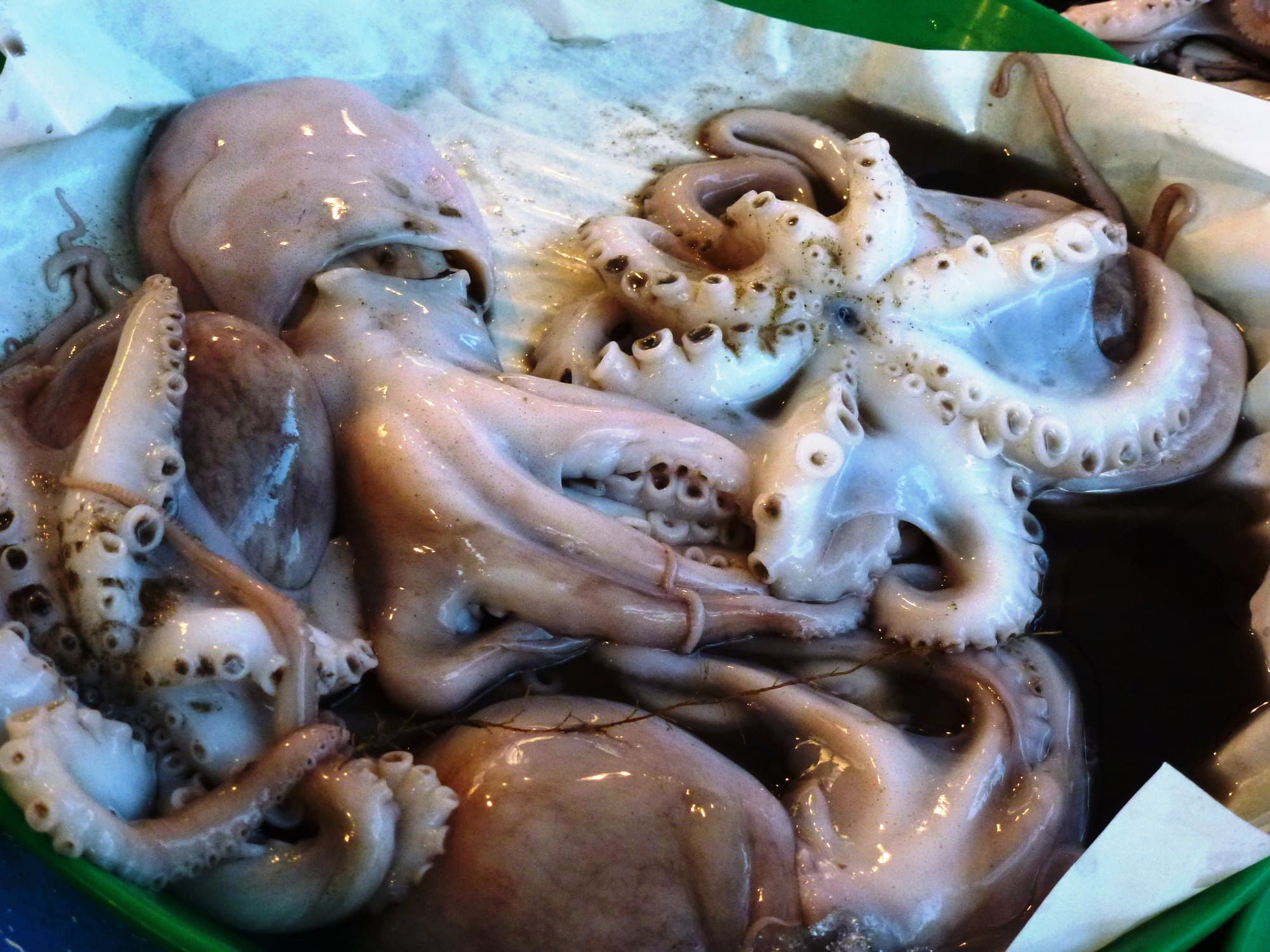 Whole raw octopuses with their arms and suckers displayed at a market