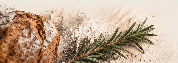 A crusted loaf and a sprig of rosemary on a floured surface
