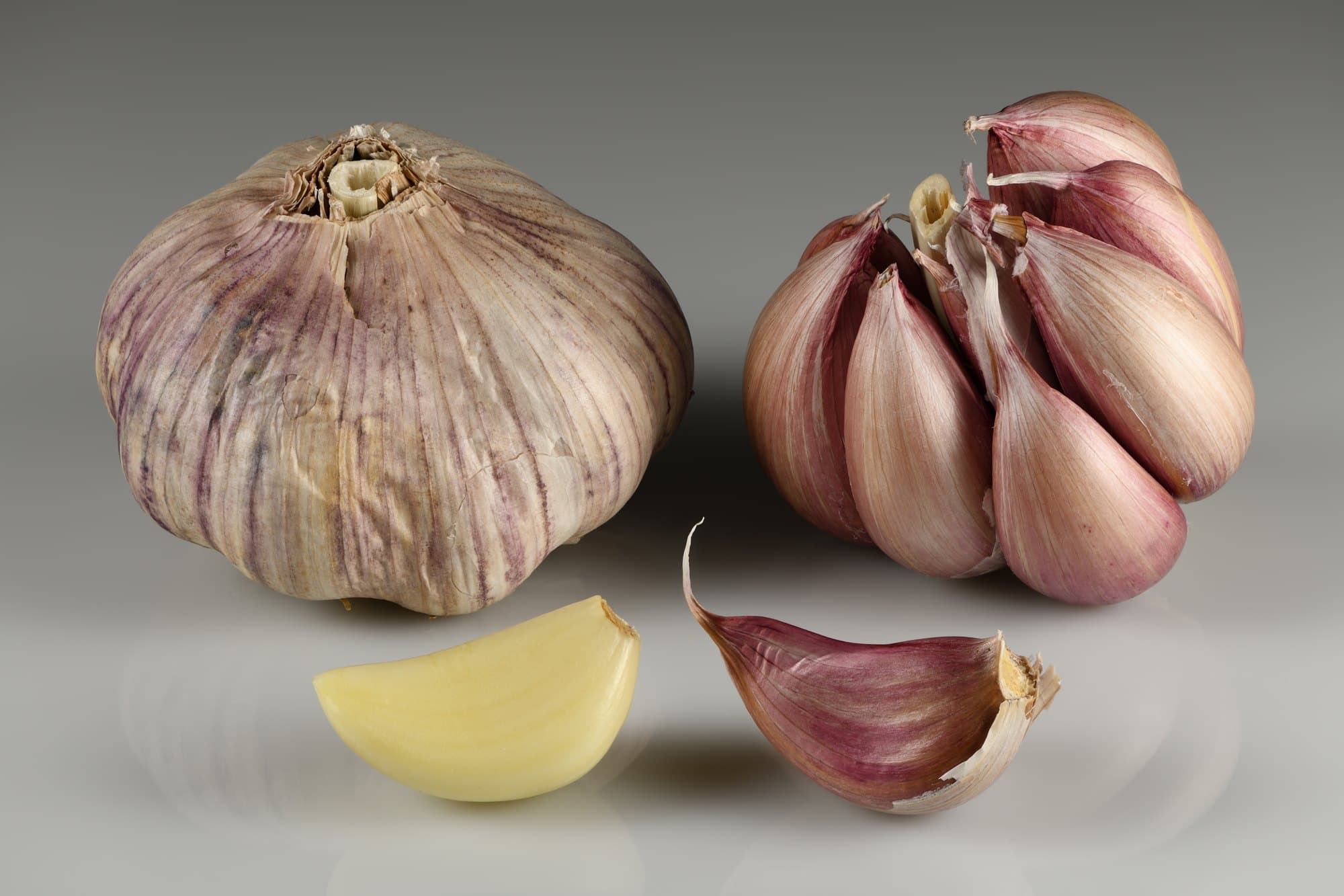Two purple-streaked garlic bulbs, one broken open, with a peeled clove and an unpeeled clove in front