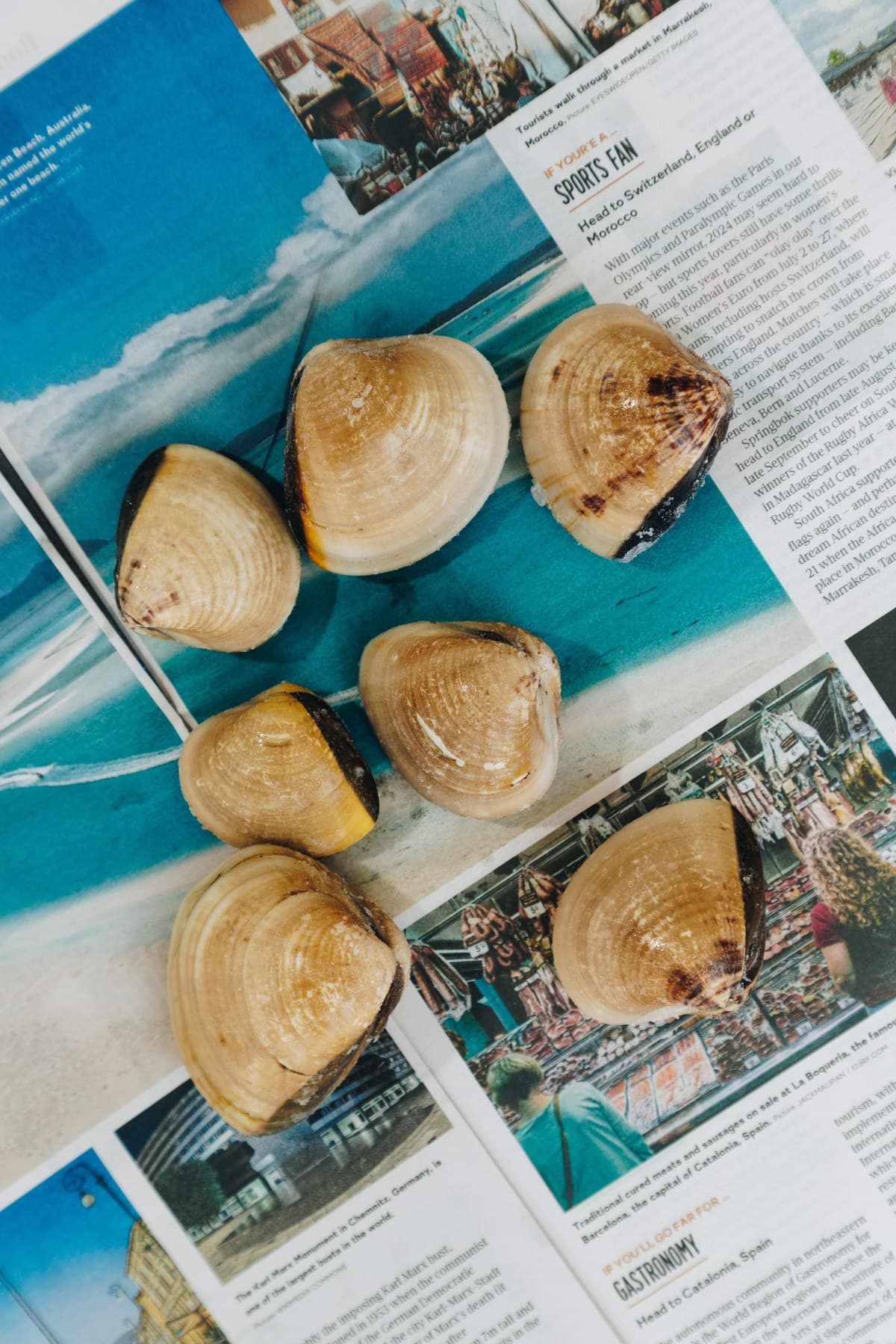 Six clams in the shell laid on a printed cloth beside a knife