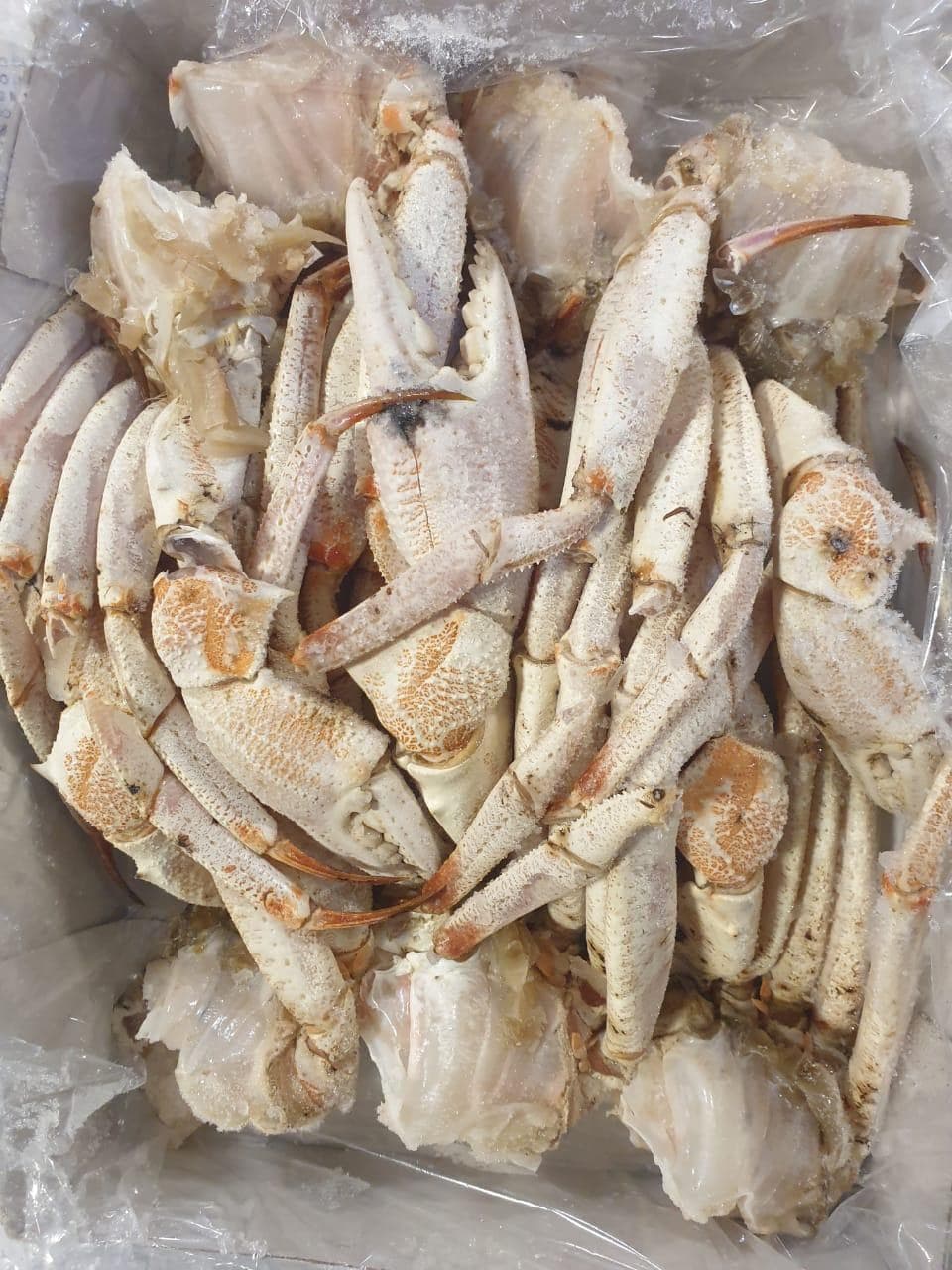 Frozen crab claws and sections packed together