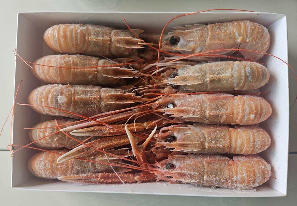 Whole frozen langoustines laid head to tail in a white box