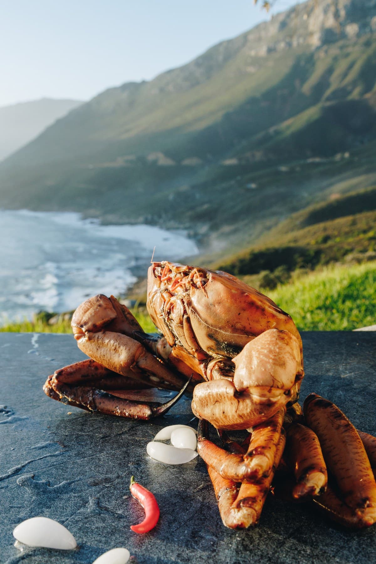 A whole orange crab on a slate board with a rugged coastline behind