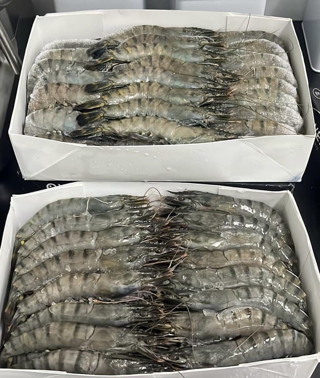 Two open boxes of frozen whole prawns laid in rows