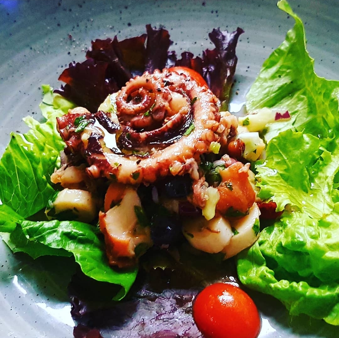 Octopus